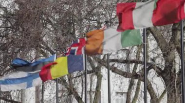 Londra 'daki Polonyalılarda Uluslararası Bayraklar Rüzgarlı Gün