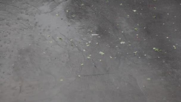 Дождь Улице Наводнения Погодный Вид — стоковое видео