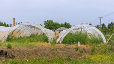 Sebze Üretimi İçin Plastik Sera