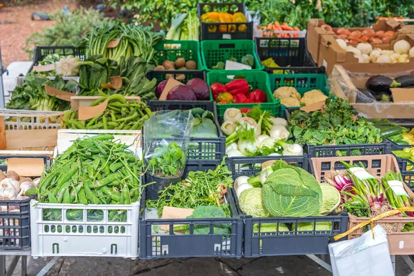 Zelenina Stánku Farmers Market Terstu Itálie — Stock fotografie