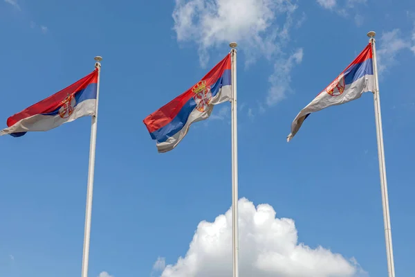 Tre Nationella Flaggstater Republiken Serbien Vid Vinden — Stockfoto