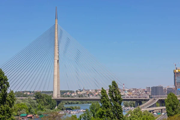 Pylon Ponte Cabo Ada Belgrado Sérvia — Fotografia de Stock