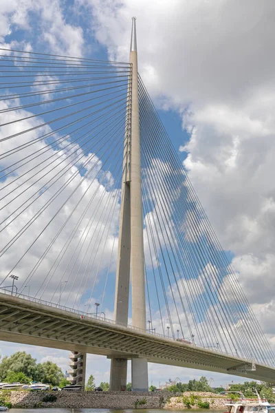 Ada Bridge Över Floden Sava Belgrad Serbien — Stockfoto