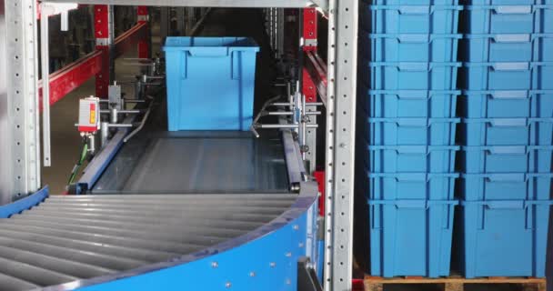 Moving Plastic Transport Boxes Conveyor Belt Distribution Warehouse — Stock Video