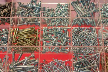 Plastik Tepsi Kutusundaki Vidaların ve Sürgülerin Çeşitli Boyutları ve Şekilleri