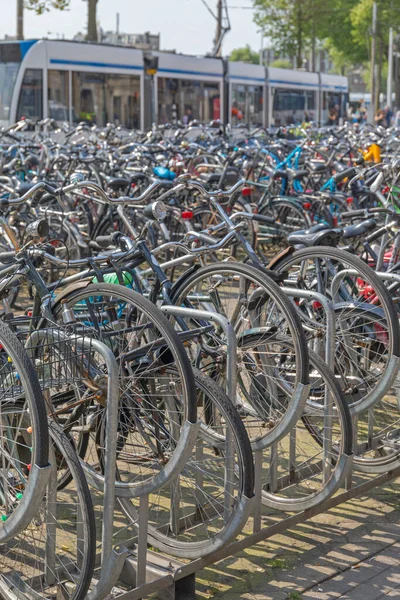 Bicicletas Aparcamiento Caos Calle Amsterdam Países Bajos —  Fotos de Stock