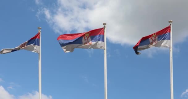 Республика Сербия Три Национальных Флага Ветру Голубое Небо — стоковое видео