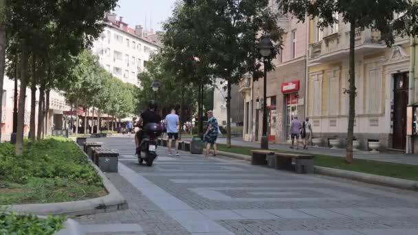 Belgrado Serbia Agosto 2021 Persone Che Camminano Nella Zona Pedonale — Video Stock