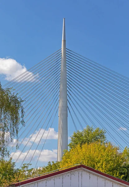 Pilón Alto Puente Colgante Ada Belgrado — Foto de Stock