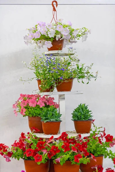 ポットにカラフルな花の植物垂直ガーデンタワー — ストック写真