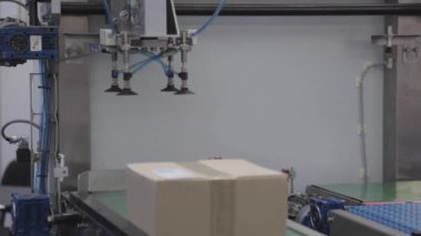 Otomatik Vakum Kolu Taşıyıcı Kayışından Kutu Seçme