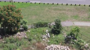 Sırbistan 'da İki Nehir Doğası Yaz Günü Eğiliyor