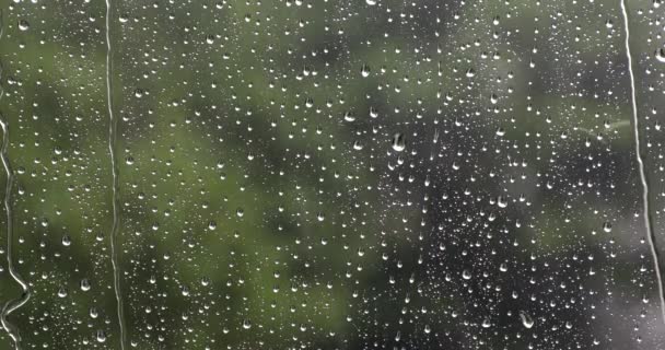 Gocce Pioggia Caduta Attraverso Finestra Bagnata Meteo Sfondo Verde — Video Stock