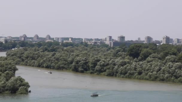 Wielka Wojna Rzeka Wyspa Pan Belgrad Letni Dzień — Wideo stockowe