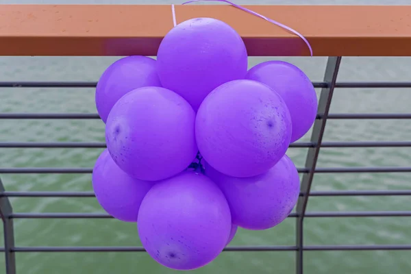 Partito Viola Latex Balloons Cluster Decorazione Recinzione — Foto Stock