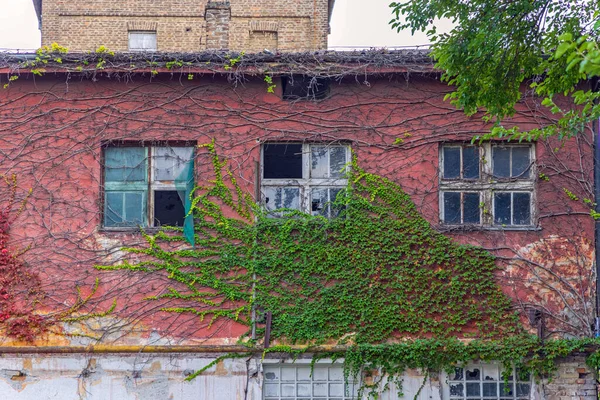 Terk Edilmiş Bina Cephesi Serseri Fabrikalarla Çevrili — Stok fotoğraf