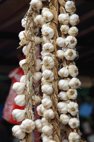 Garlic — Stock Photo, Image