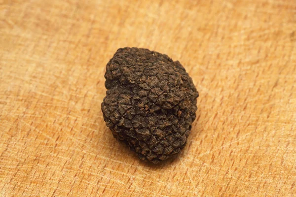 Tartufo — Foto Stock