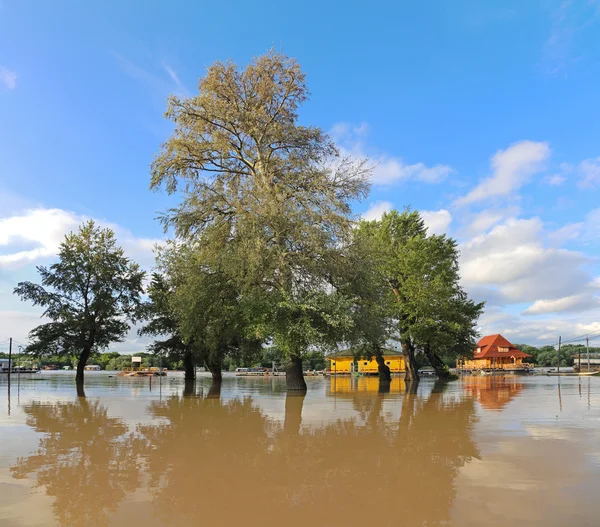 Floods — Stock Photo, Image