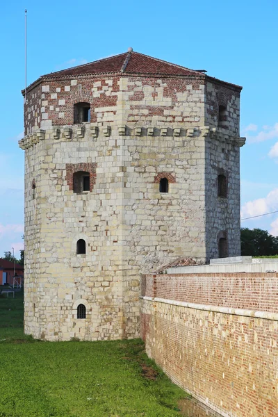 Torre Nebojsa — Foto Stock