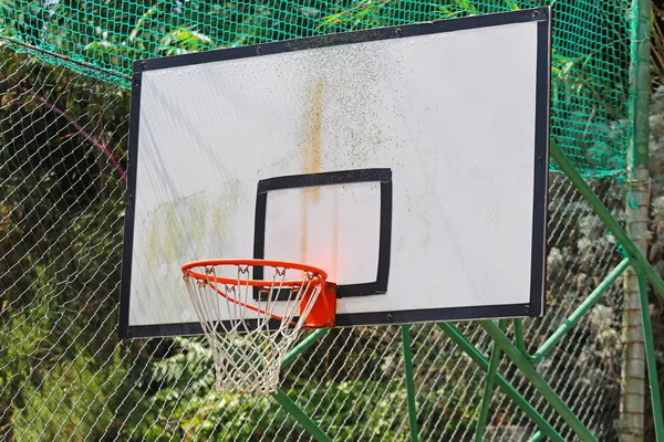 Basket styrelse — Stockfoto