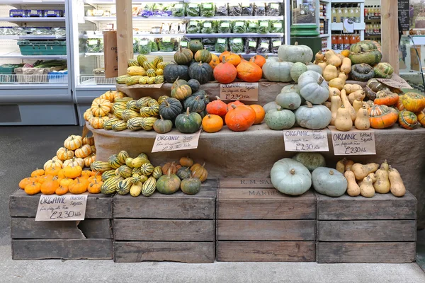 Sütőtök és a squash — Stock Fotó