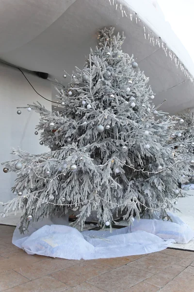 Árbol de Navidad — Foto de Stock