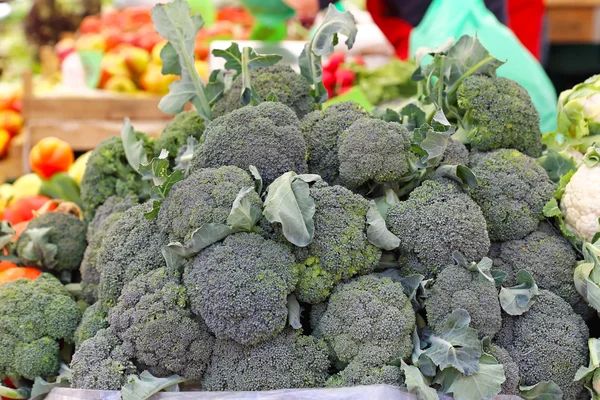 Broccoli — Stockfoto