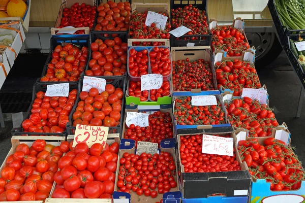 Tomates — Fotografia de Stock