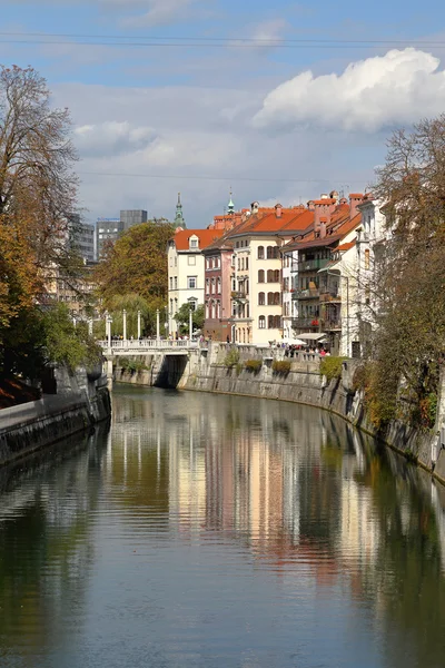 Ljubljanica — Stock Fotó