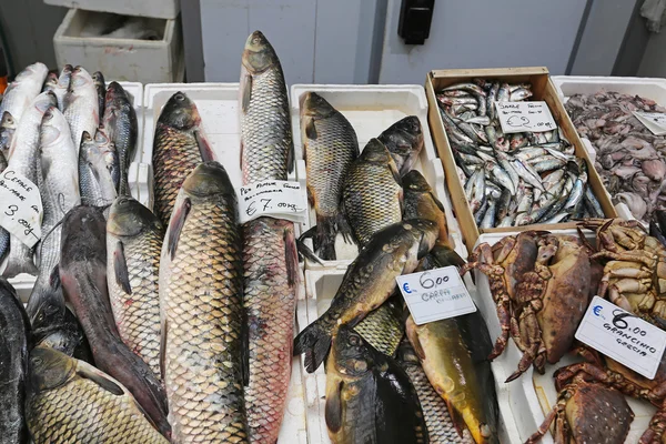 Marché aux poissons — Photo