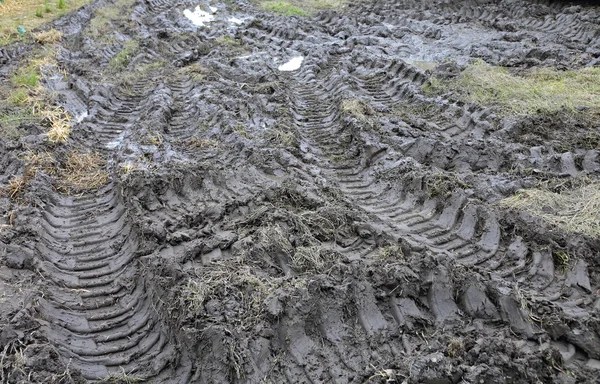 Mud soil — Stock Photo, Image