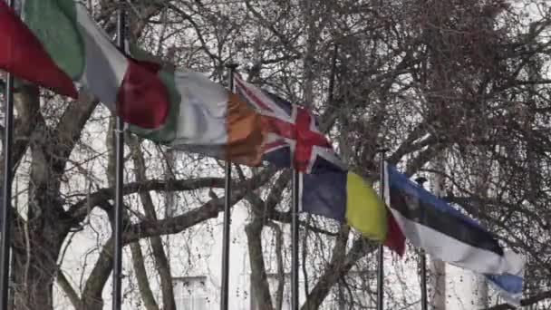 Σημαίες — Αρχείο Βίντεο