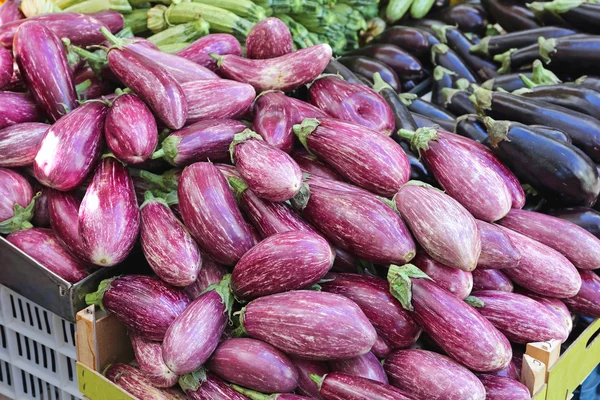 Aubergine — Stockfoto