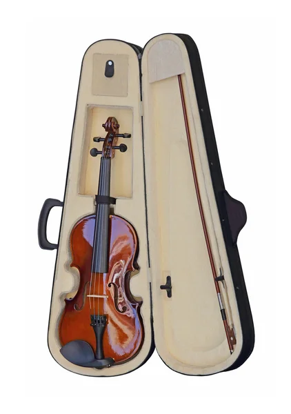 Violino no caso — Fotografia de Stock