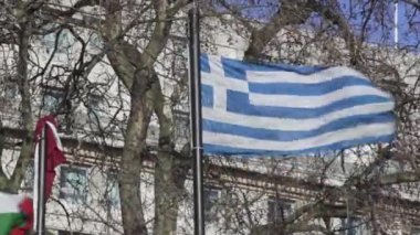 Yunanistan bayrağı