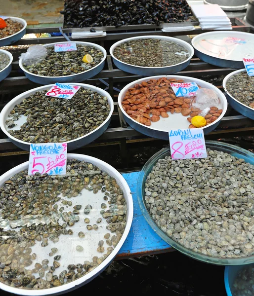 Mariscos — Fotografia de Stock