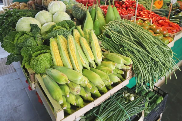 Maize — Stock Photo, Image