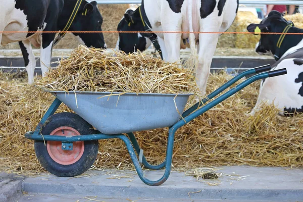 Wheelbarrow — Stock Photo, Image