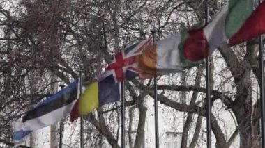 Uluslararası Bayraklar