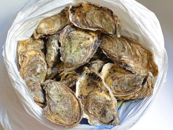 Bag of Oysters — Stock Photo, Image