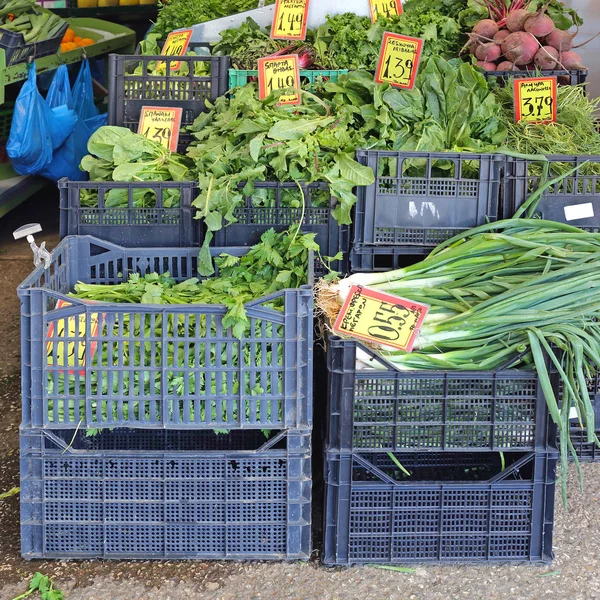 Leafy Vegetables — Stock Photo, Image