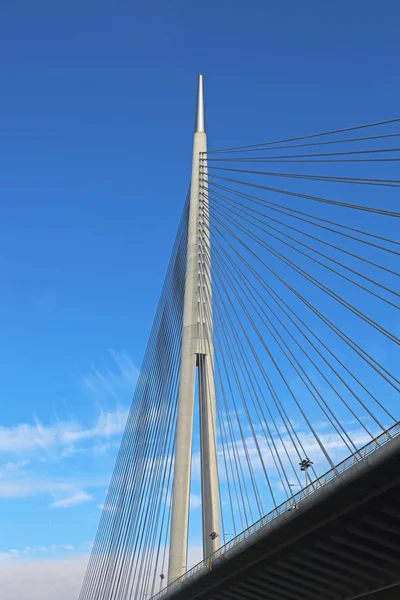 Puente de Ada Belgrado — Foto de Stock