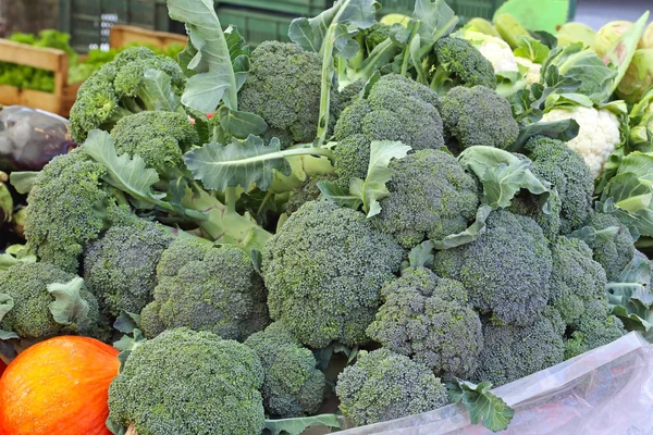 Broccoli — Stockfoto