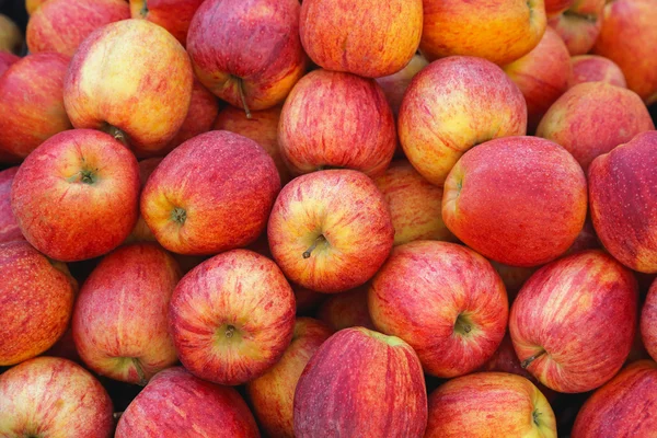 Manzanas — Foto de Stock