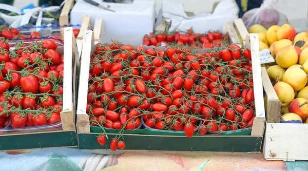 Tomate cereja — Fotografia de Stock