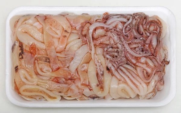Frozen Squids — Stock Photo, Image