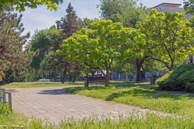 Güneşli Bahar Gününde Şehir Merkezindeki Küçük Boş Park