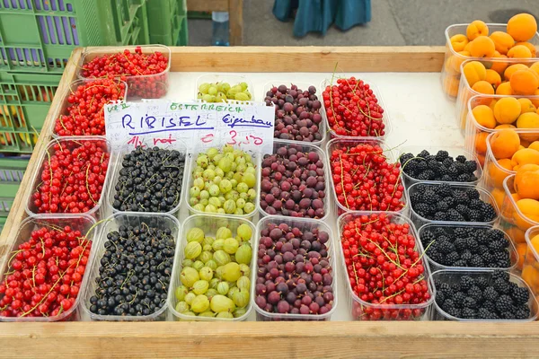 Berries — Stock Photo, Image