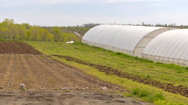 Çiftlik Arazisi Çoklu Tünel Serası Sebze Yetiştirme Bahar Günü